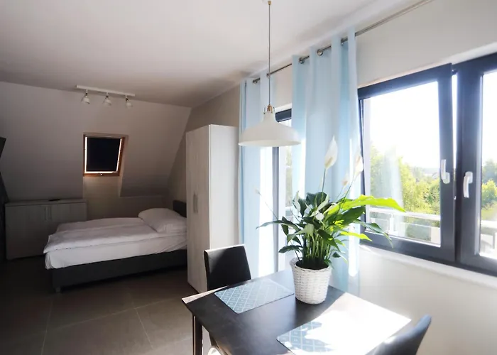 Przystanek * 데브키